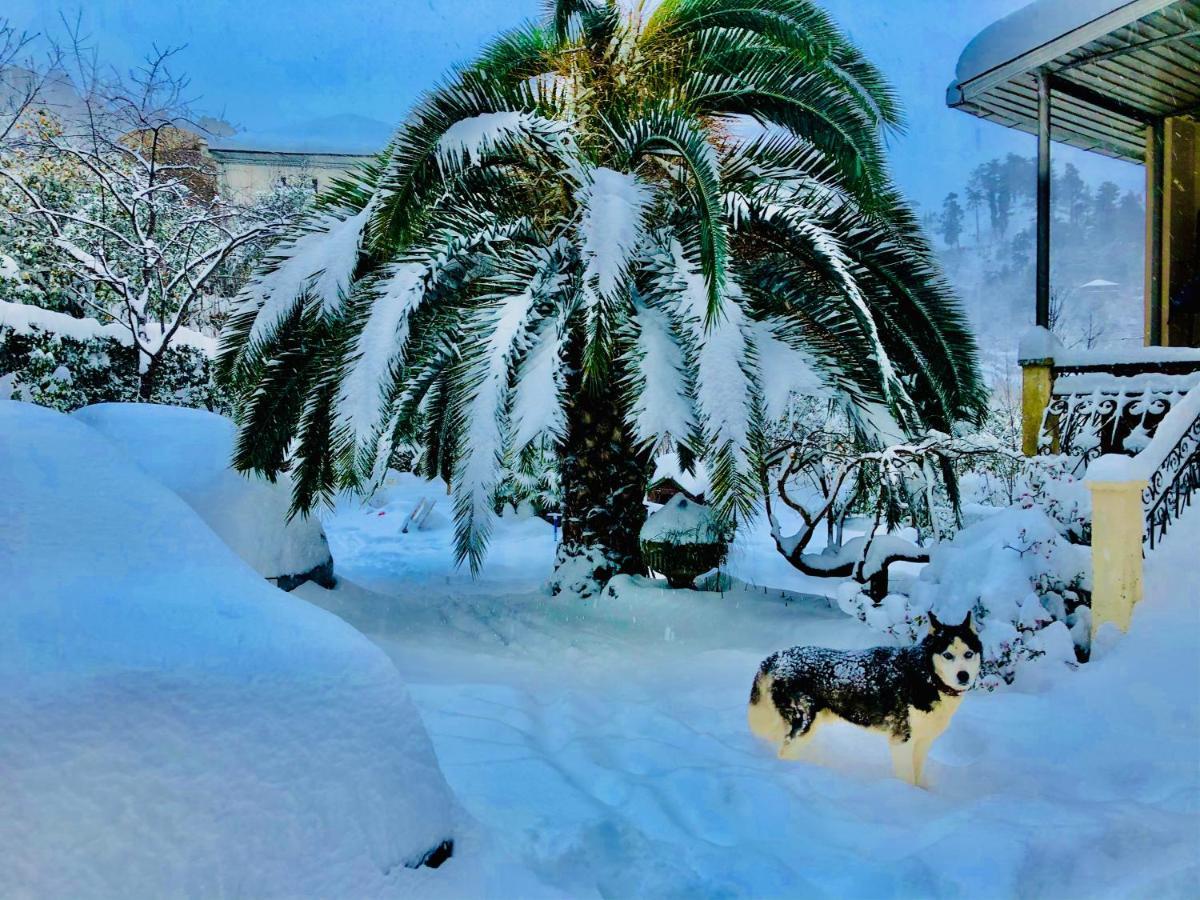 Holiday House Green Cape Batumi Otel Mtsvane Konts'khi Dış mekan fotoğraf